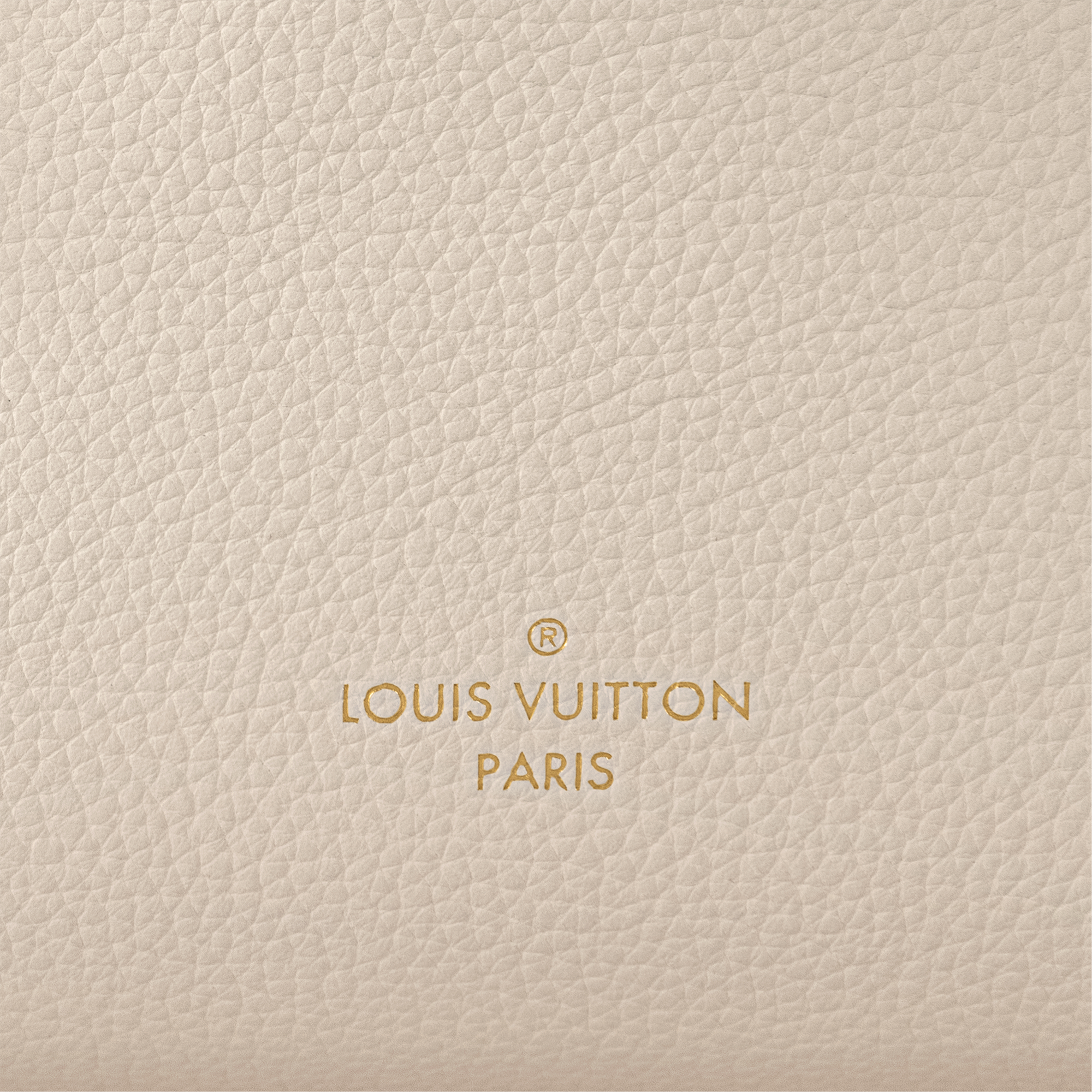 Túi Side Trunk PM H27 in Đồ Nữ's Túi All Collections collections by Louis Vuitton (Thu phóng sản phẩm)